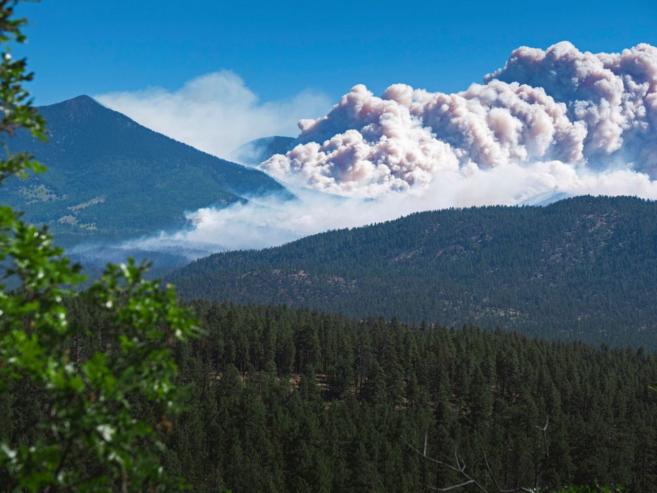 Western wildfires force evacuations in Arizona, California