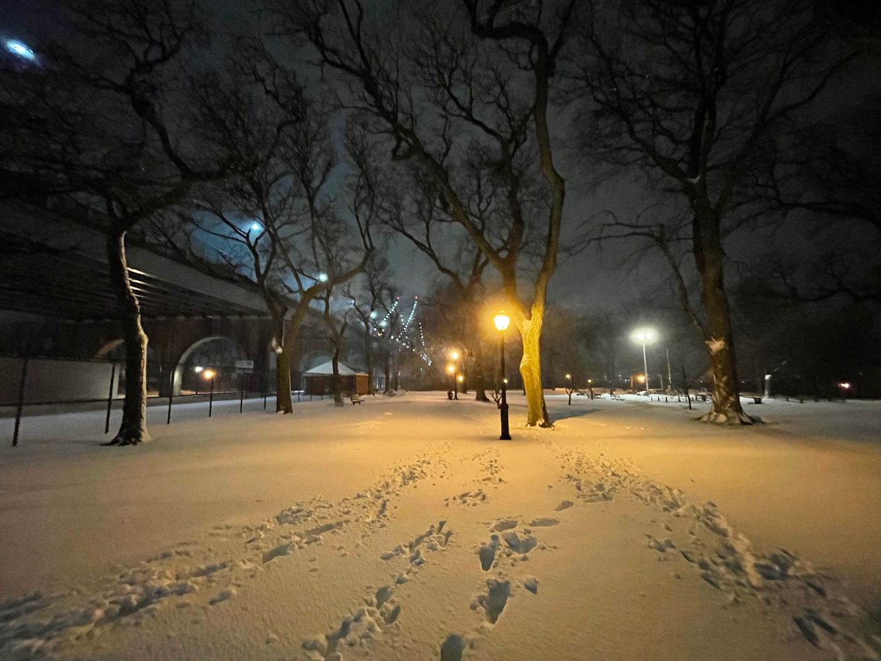Photos: NYC Blanketed in Snow From Historic Winter Storm