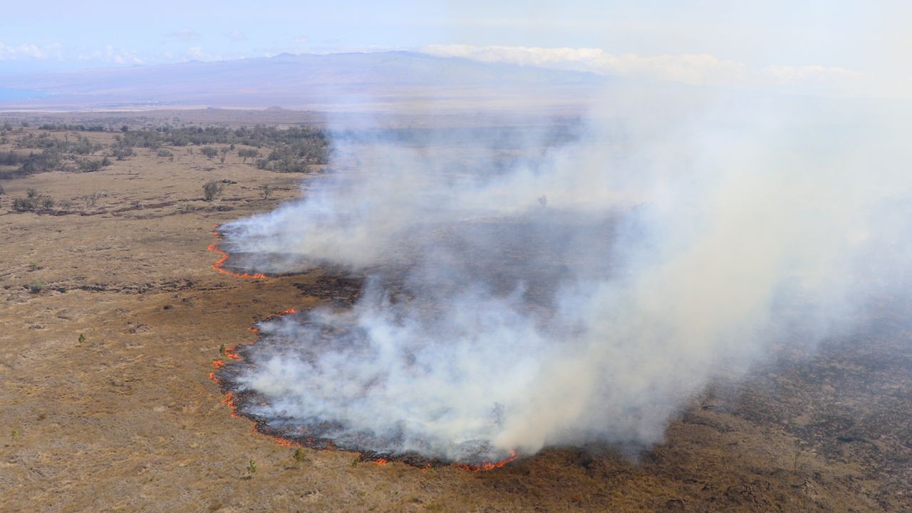 Leilani wildfire on August 12, 2022. (Photo courtesy of the Department of Land and Natural Resources)