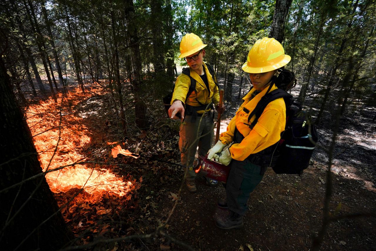 US Forest Service And Historically Black Colleges Unite To Boost ...