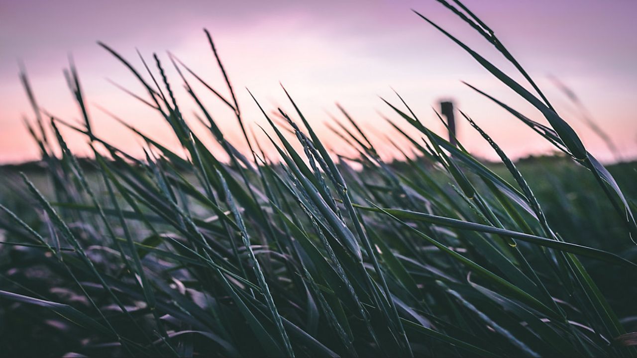 Don't Mix It Up: Windy Nights Are Warmer Than Calmer Ones