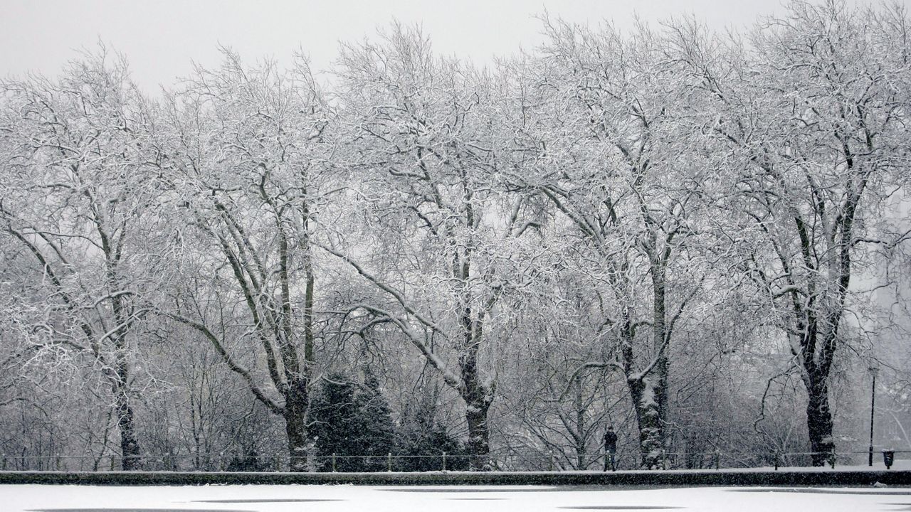 A person stands by a frozen pond during snow fall on Hampstead Heath in London, Wednesday, Jan. 6, 2010. Britain endured more travel chaos Wednesday as snow blanketed much of the country, with airports shut, roads closed and train journeys cancelled. (AP Photo/Matt Dunham)