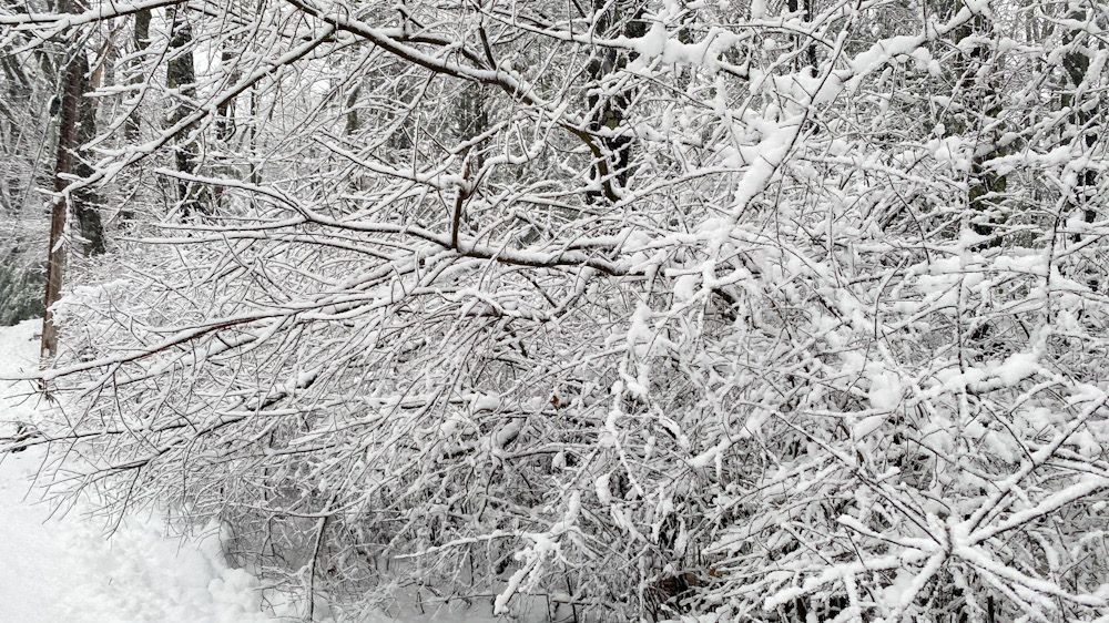 Snowfall seen in Worcester, MA on December 5, 2020.