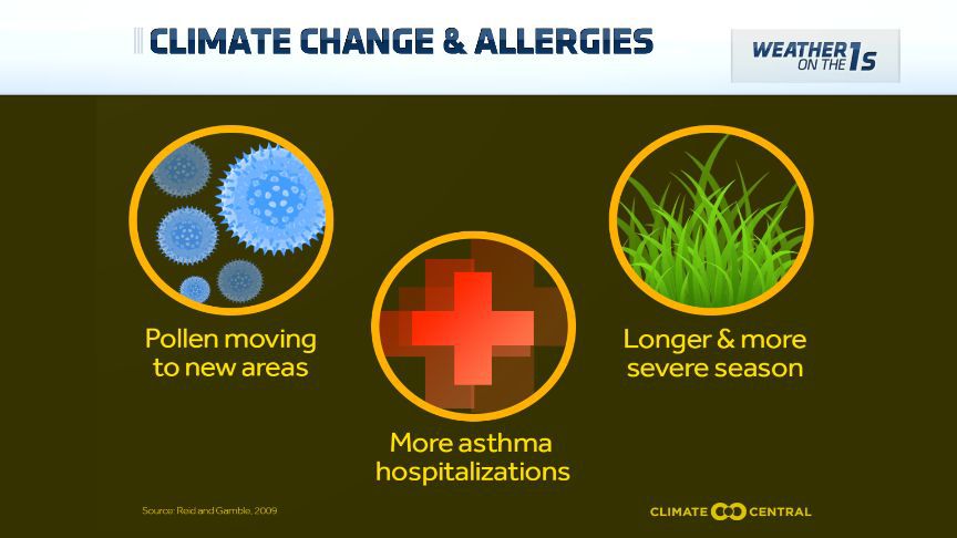 How Can Pollen Teach Us About Climate?, News