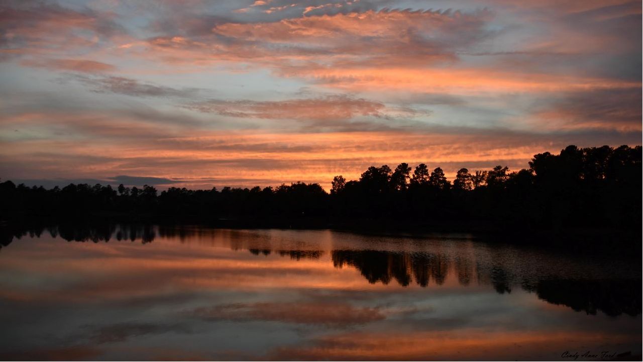 Sunset from Tuesday evening in Cary.  Photo by Cindy Anne Ford.