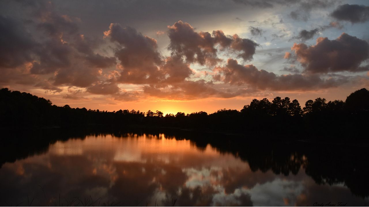 A recent sunset from Cary.  Photo by Cindy Anne Ford.