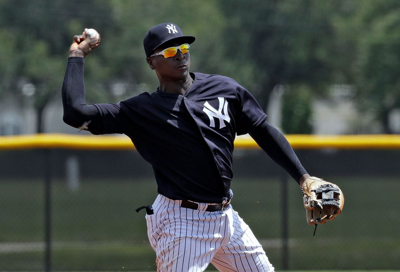 Didi Gregorius: The New NY Yankees Shortstop