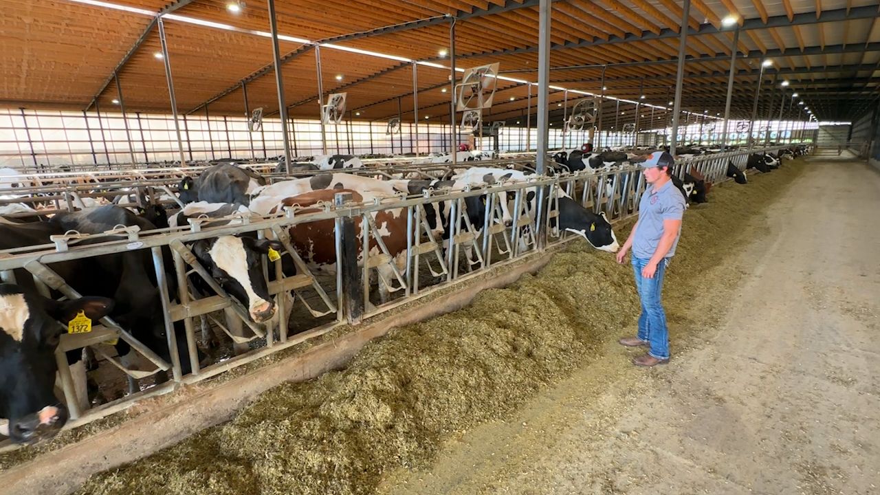 Payton Griepentrog in one of the barns at Clinton Farms in Bear Creek.
