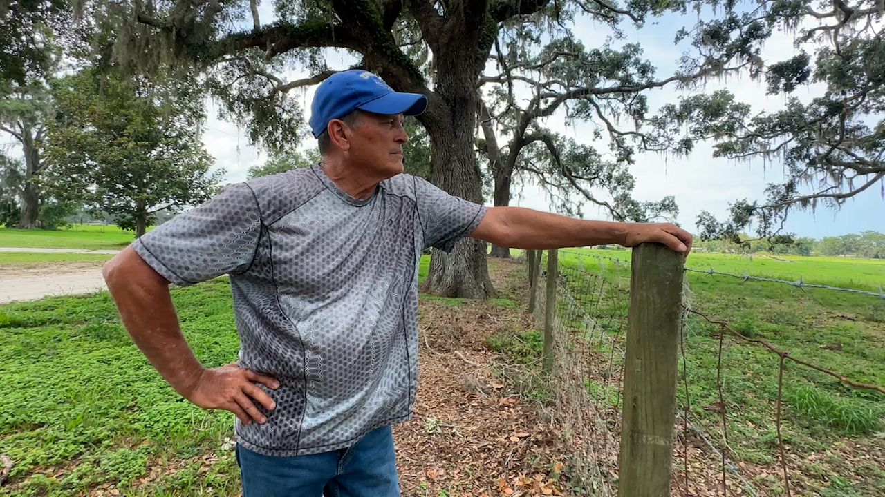 James Meyer and his family have owned this land since 1966, encompassing 58 acres. He says in the time that he’s owned the property, there have been three instances of flooding. However, none worse than last year. (Spectrum News/Calvin Lewis)