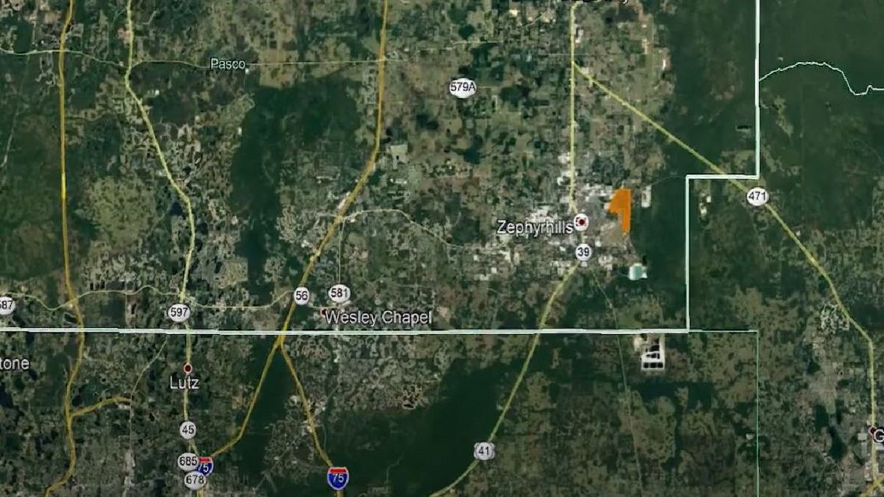  The company has acquired 72 acres at the Zephyrhills airport industrial park with plans for a 400,000-square-foot light industrial facility. (Google Earth)