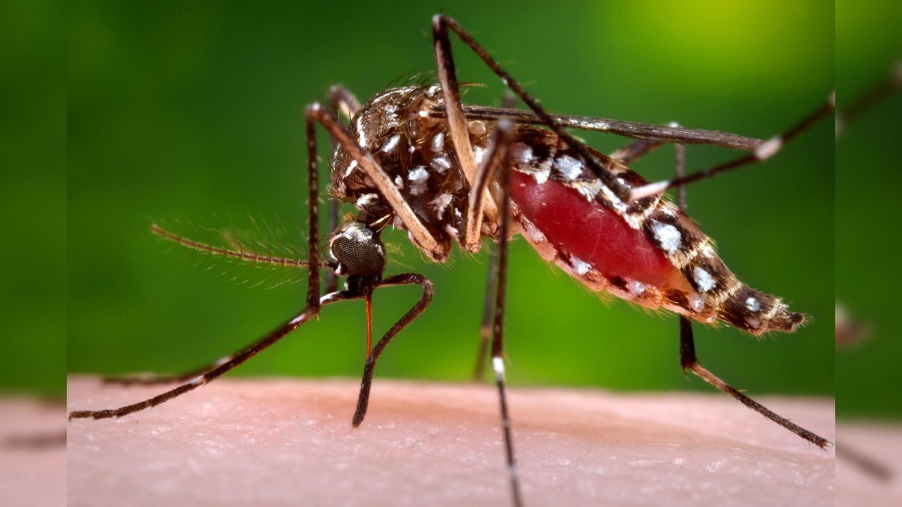 DOH investigating a travel-related Zika case on Oahu