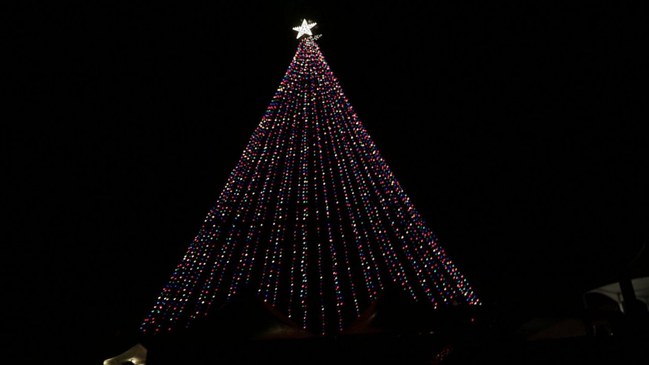 Kickoff the holiday season with the Zilker Tree lighting