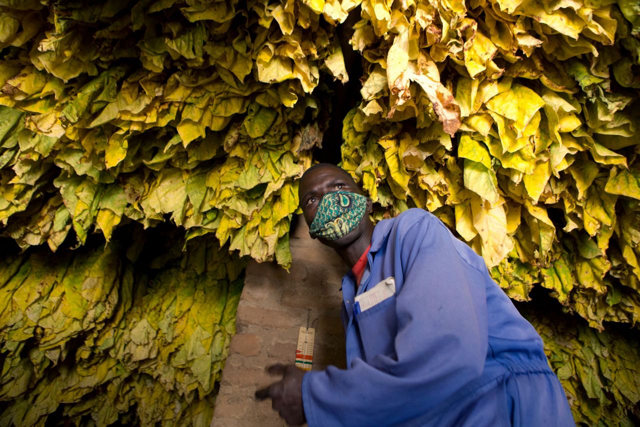 tobacco boycott The Fatwah: Story of Iran's Tobacco Protests