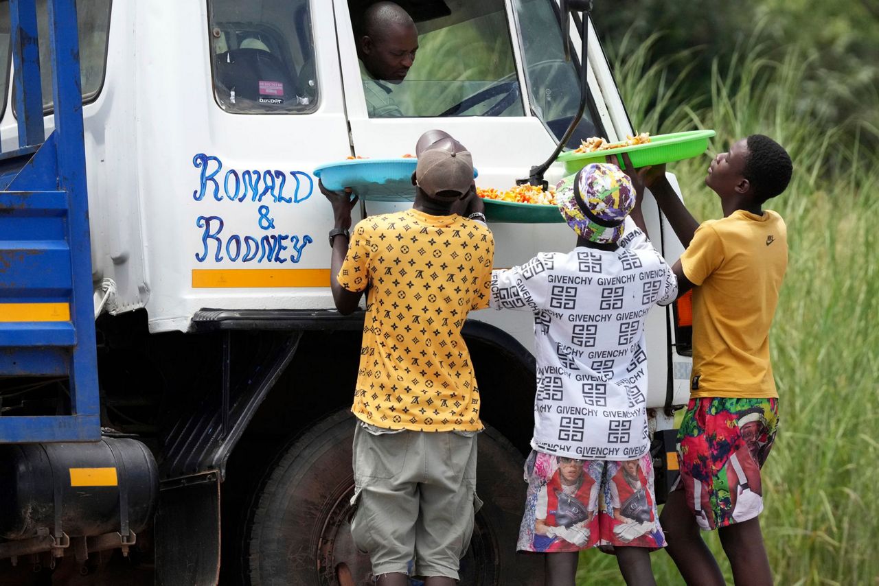 In Zimbabwe's rainy season, women forage for wild mushrooms