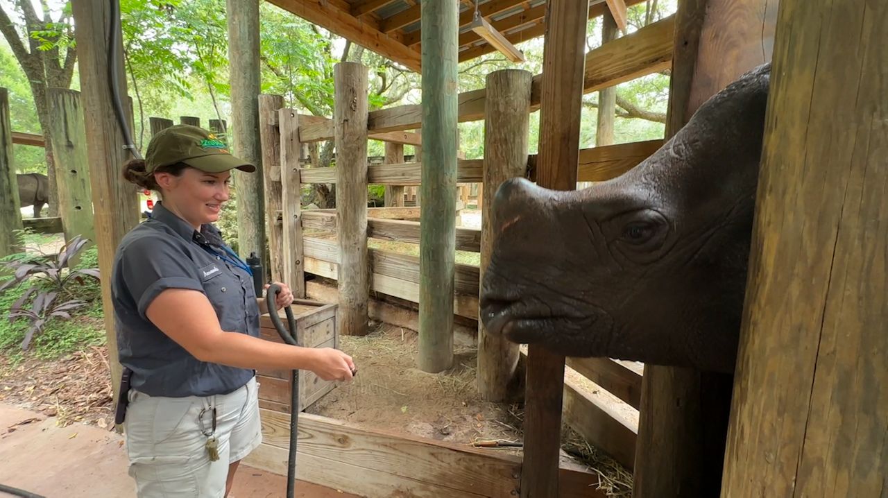 Animals and visitors are beating the heat at ZooTampa