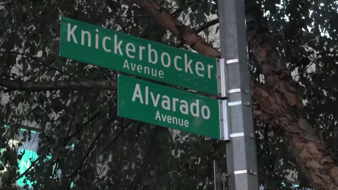 Knicks champion Jose Alvarado gets part of Knickerbocker Avenue in Brooklyn co-named after him