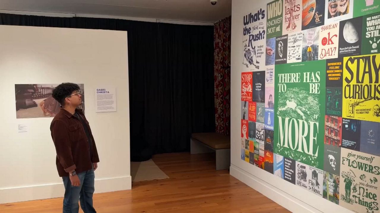 Staten Island Museum’s triennial exhibit showcases local artists