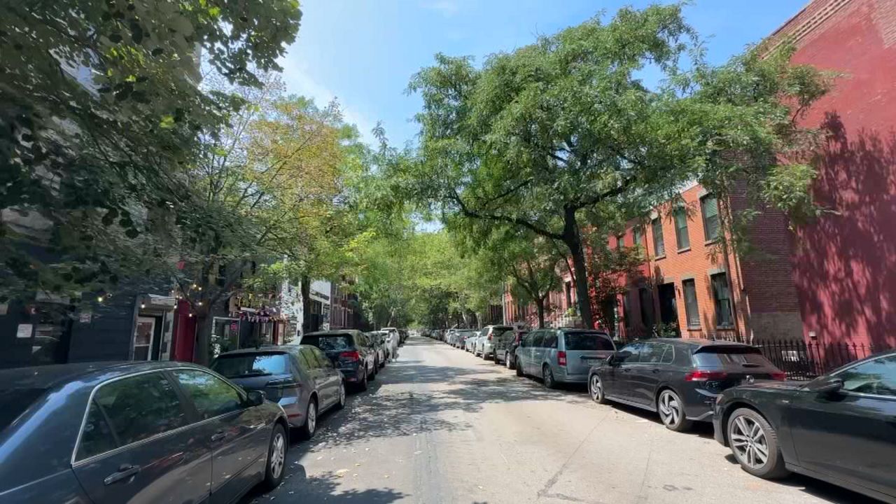Tree envy: Some LIC residents demand more trees in their neighborhood