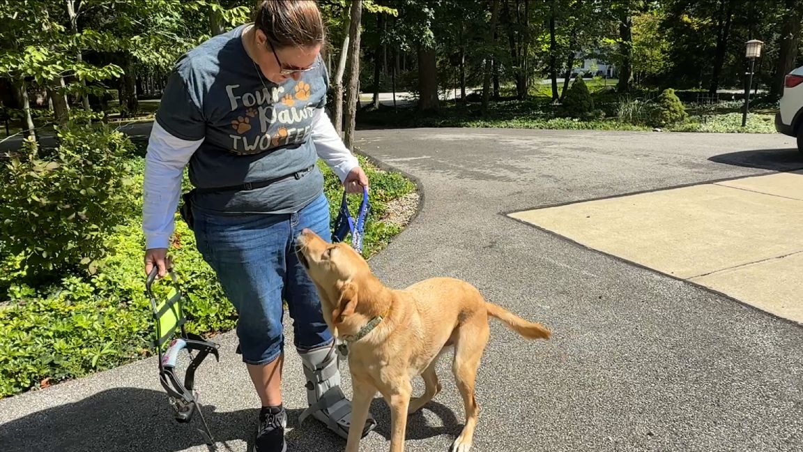 Guide dog helps owner have first solo travel trip