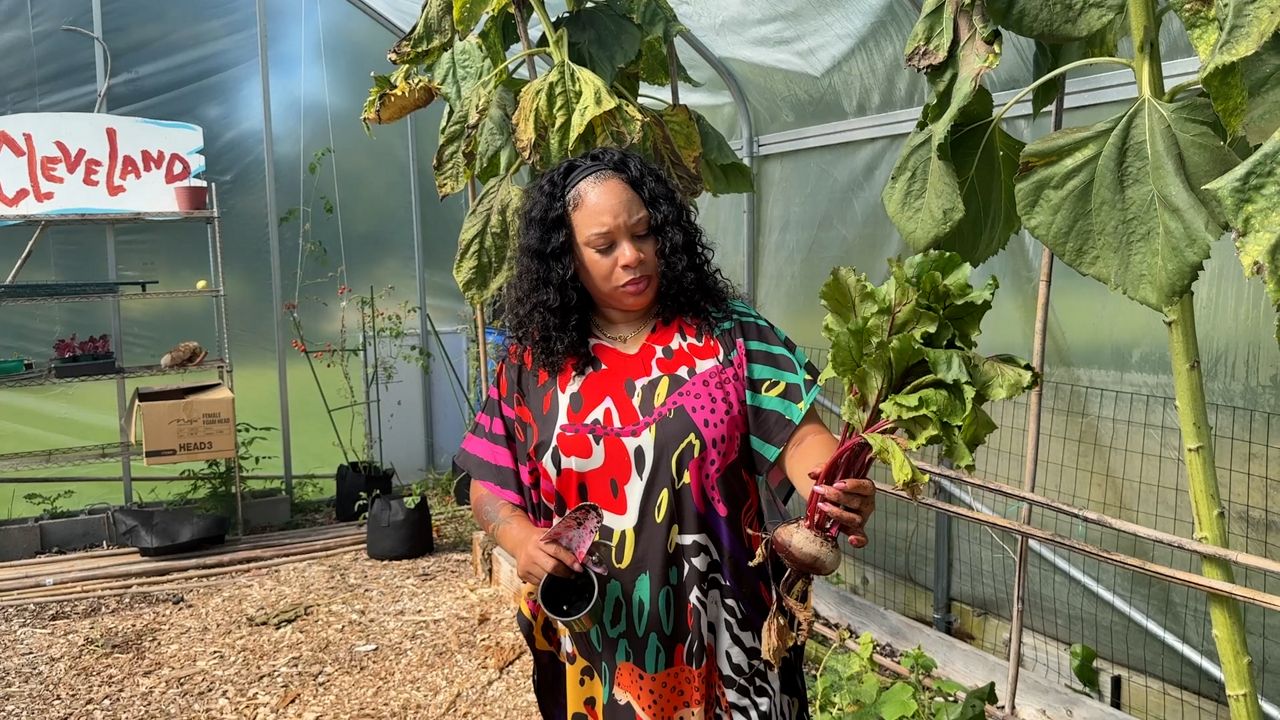 Local urban farm teaches community members how to grow food