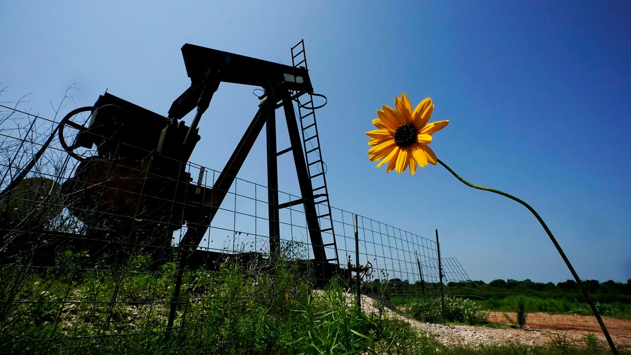 FILE - A wildflower blows in the wind near an old pump jack on Molly Rooke's ranch, Tuesday, May 18, 2021, near Refugio, Texas. Oil and gas drilling began on the ranch in the 1920s and there were dozens of orphaned wells that needed to be plugged for safety and environmental protection. (AP Photo/Eric Gay, File)