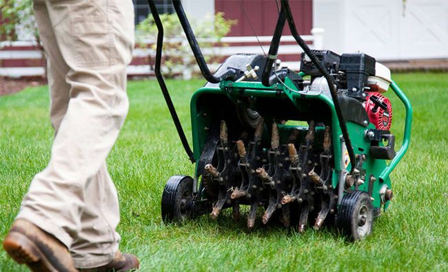 Lawn Care Provo Utah