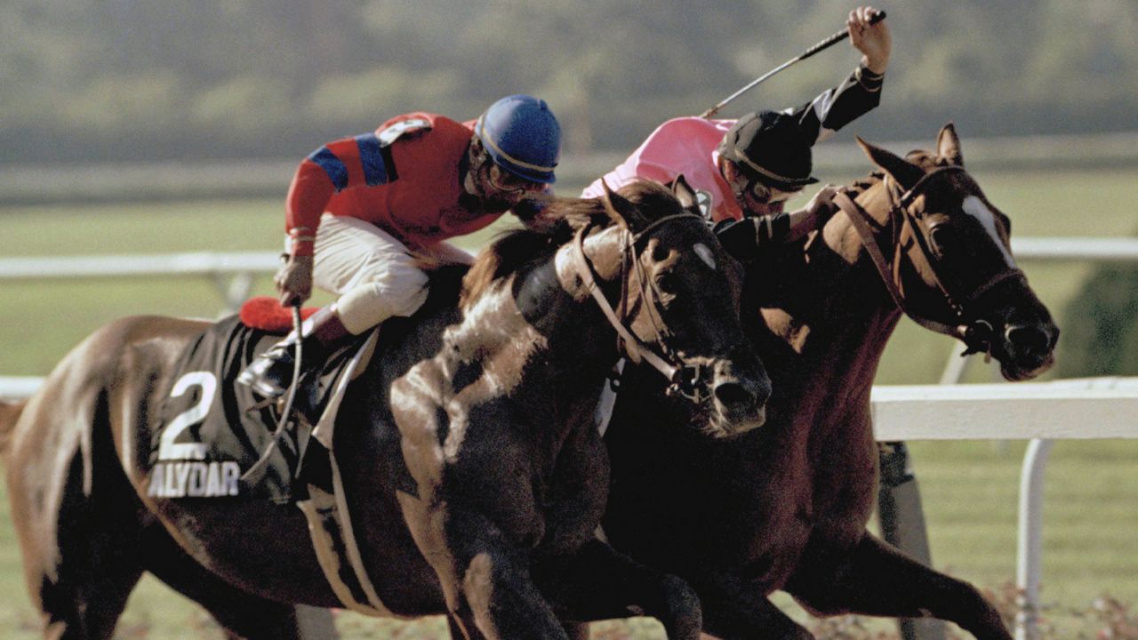 In this June 12, 1978 file photo, Steve Cauthen raises his whip to speed Affirmed, right, toward the finish line as Alydar is driven home by Jorge Velasquez in the final stretch of the Belmont Stakes race at Belmont Race track in Elmont, New York. (AP Photo/Perez)