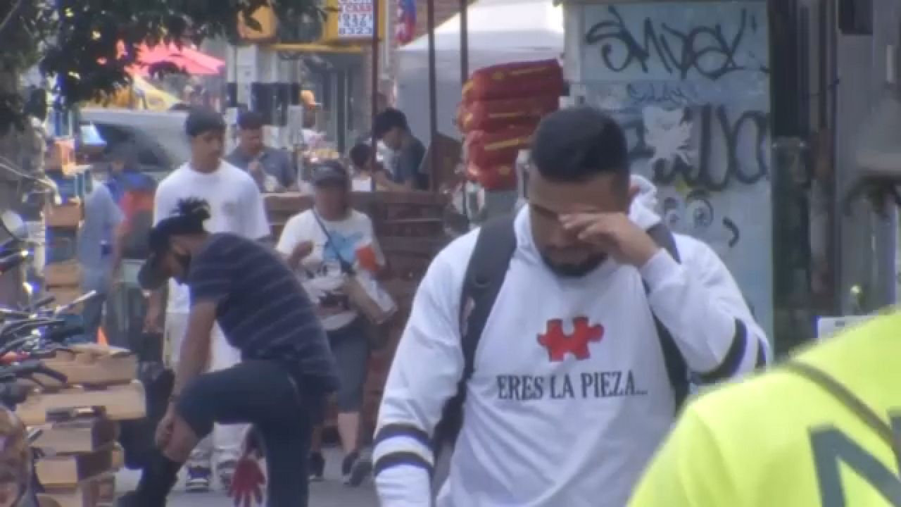 The Impact of Fires and Insects on New York City: Precautions and Observations