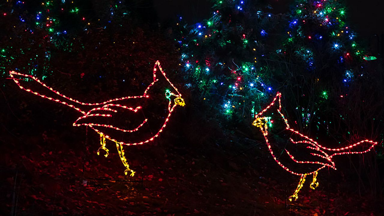A display that's part of Akron Zoo's Wild Lights. (Photo courtesy of the Akron Zoo's Facebook)