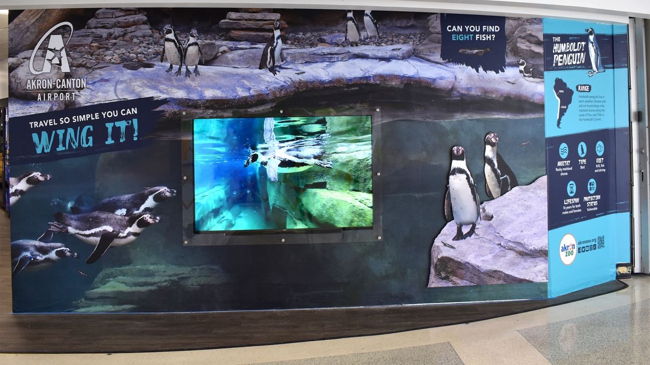 The Akron Zoo and the Akron-Canton Airport have partnered to install huge, zoo-themed, multimedia displays at the airport.