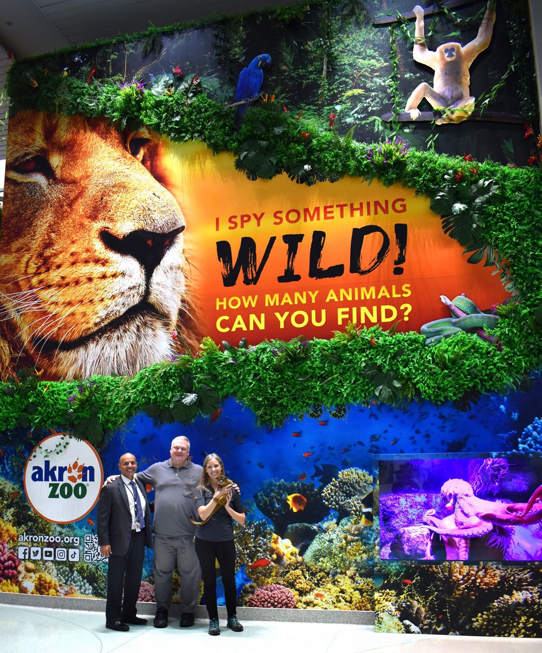 Akron Zoo, AkronCanton Airport partner on zoo displays