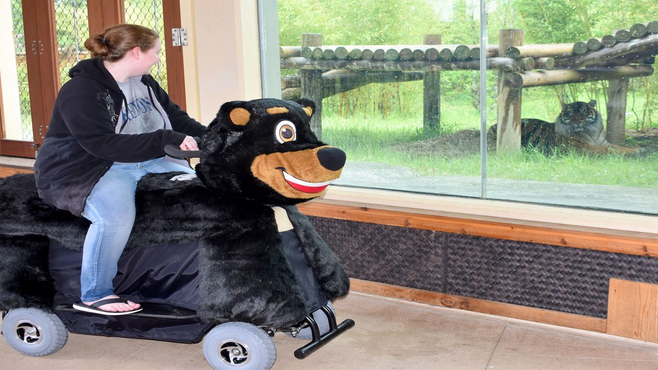 Electric scooters made to look like animals are available to rent for those 18 and older at the Akron Zoo.