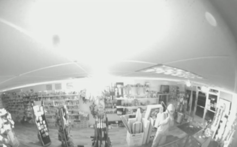 troy store gun theft security cam