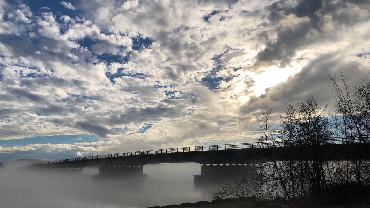 Albany Weather Forecast