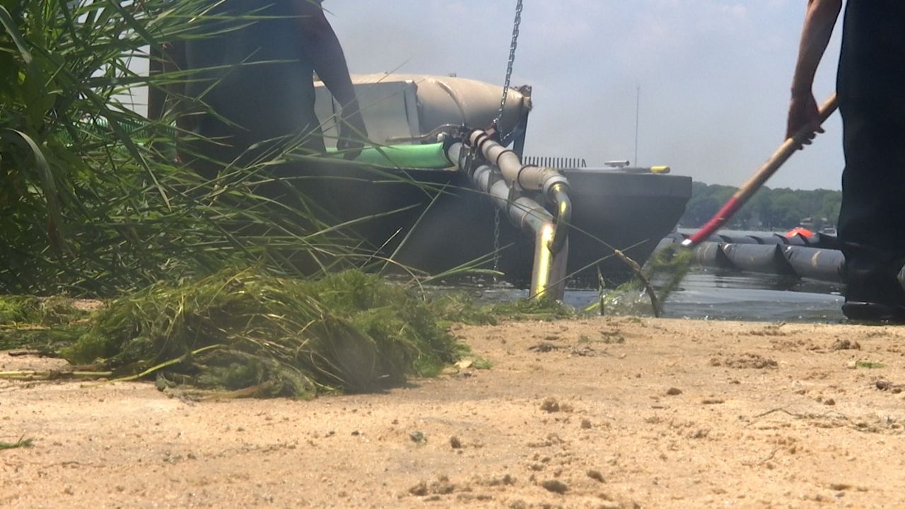 Dane County Pilots New Way to Remove Algae Blooms - Spectrum News 1