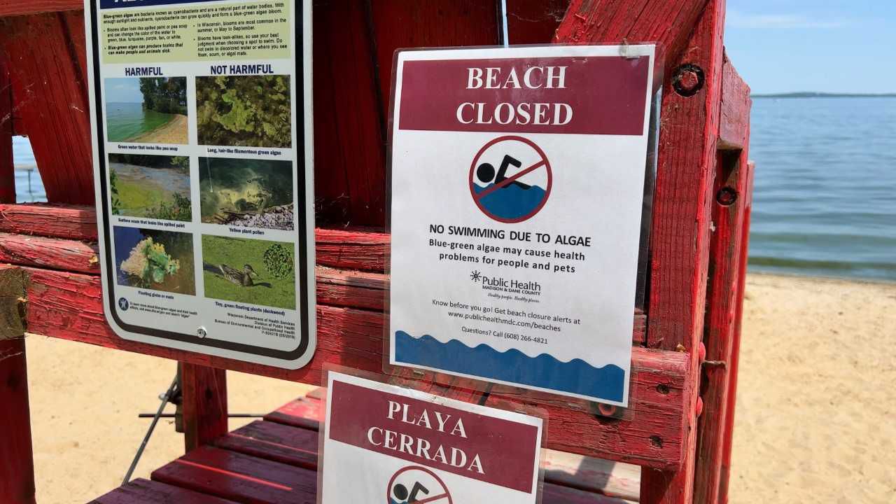 Algae blooms close beaches in Madison area
