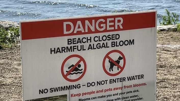 Swimmers flock to state parks, though some beaches closed for poor water quality