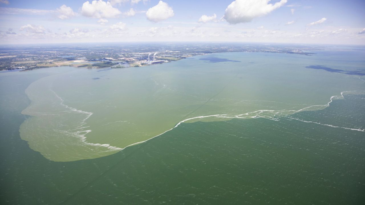 The National Oceanic and Atmospheric Administration (NOAA) is predicting that the western portion of Lake Erie “will experience a moderate to larger-than-moderate harmful algal bloom" this summer.