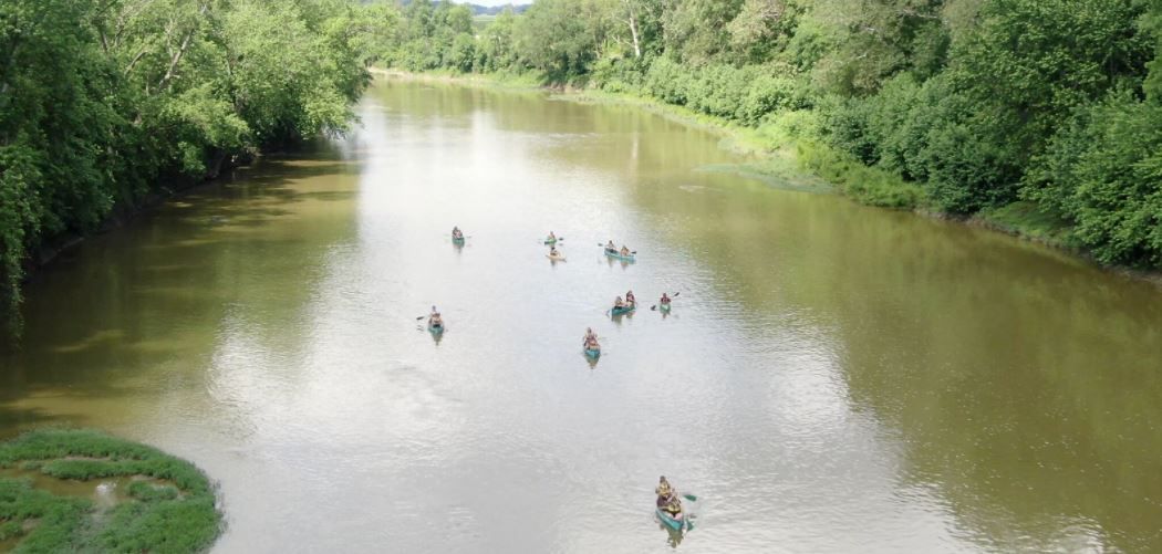 Are Dogs Allowed At Alum Creek Beach