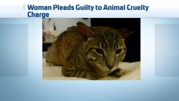 Elmira Woman Arrested After Admitting to Setting Kitten on Fire