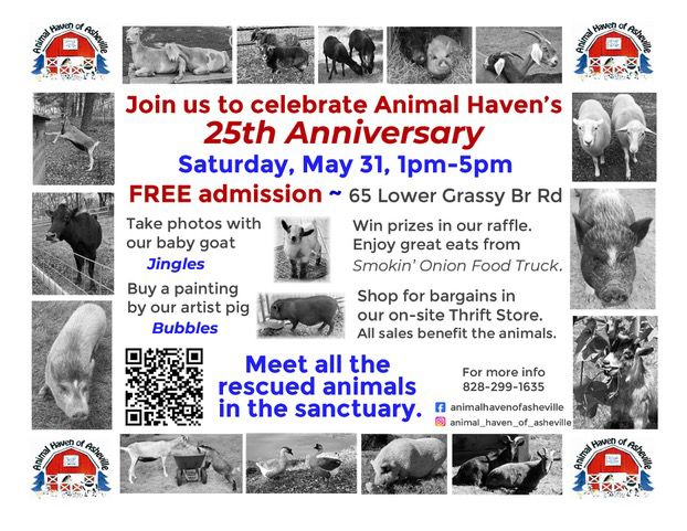 (Facebook/Animal Haven of Asheville)