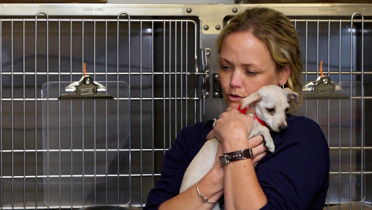 LA Animal Services ditching appt. requirement on select days