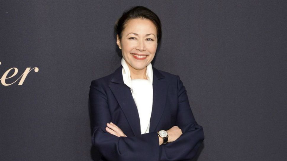 In this Nov. 12, 2014, file photo, Ann Curry attends the Panthere de Cartier Collection dinner & party at Skylight Clarkson Studios in New York. (Photo by Evan Agostini/Invision/AP, File)