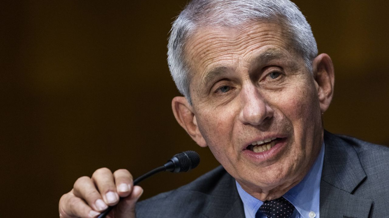 Dr. Anthony Fauci (AP Photo)