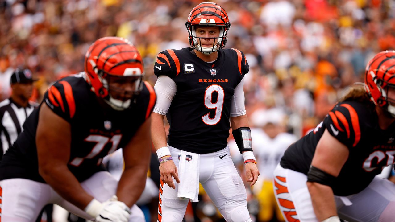 Cincinnati Bengals celebrate their first AFC North title since 2015