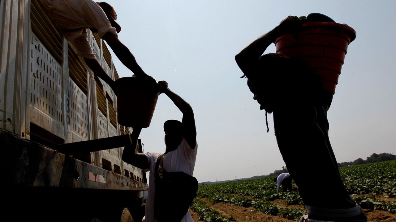 farm workers 