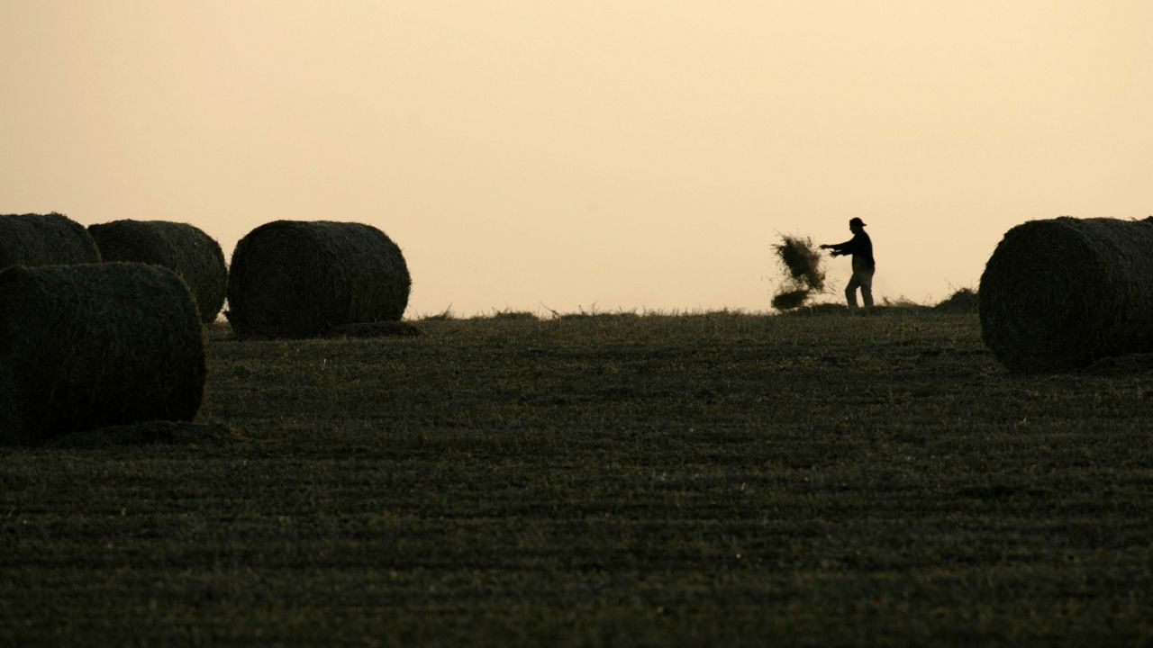 farm worker