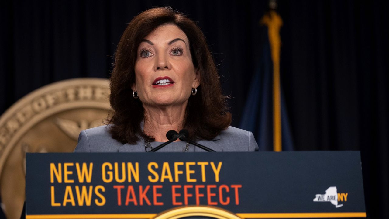 Hochul guns