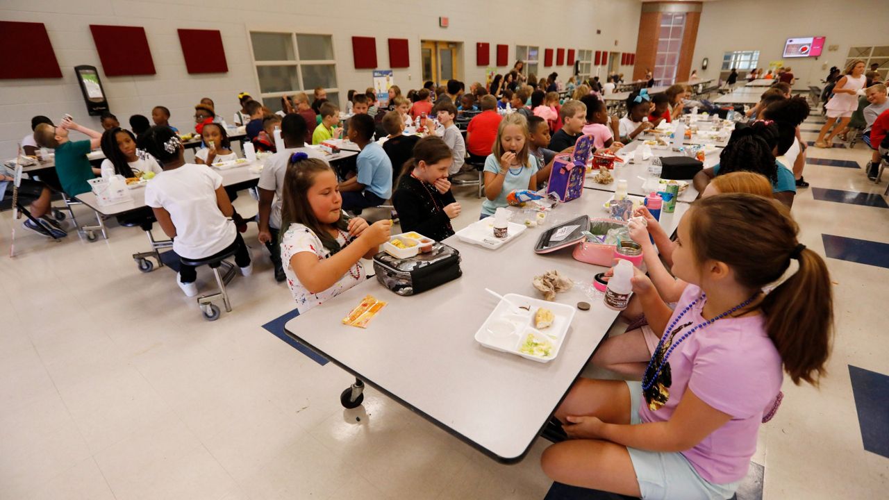 school lunch