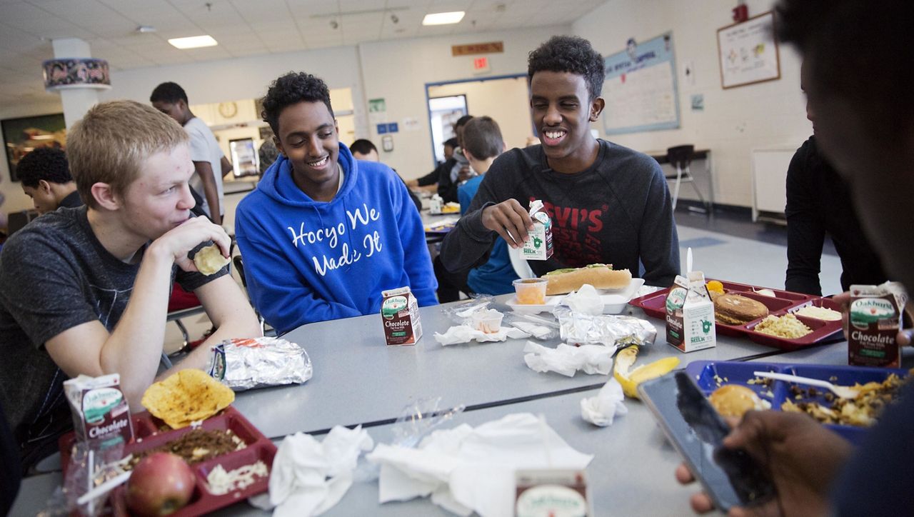 school lunch